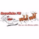 Snowflake FM logo