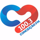 Logo de Conceição 100.3 FM
