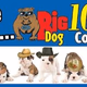 Logo de Big Dog Country Radio - WUUF
