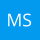 Logo de MSVStereo